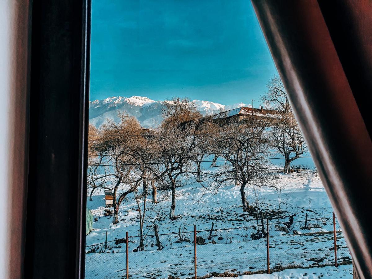 Transylvania Mountain View Cdi Бран Екстериор снимка