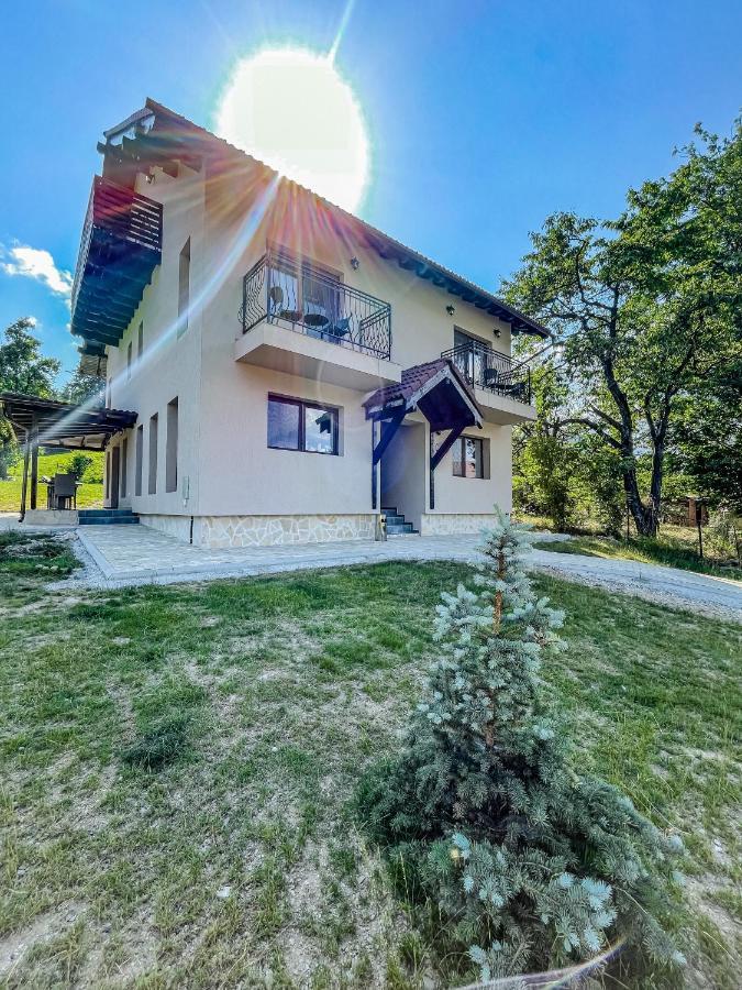 Transylvania Mountain View Cdi Бран Екстериор снимка