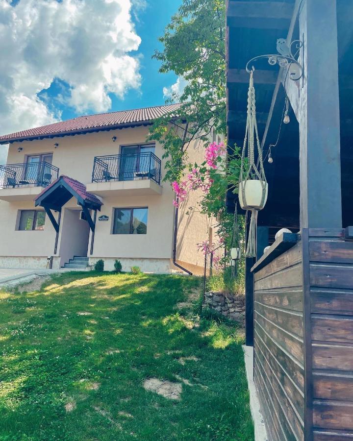 Transylvania Mountain View Cdi Бран Екстериор снимка