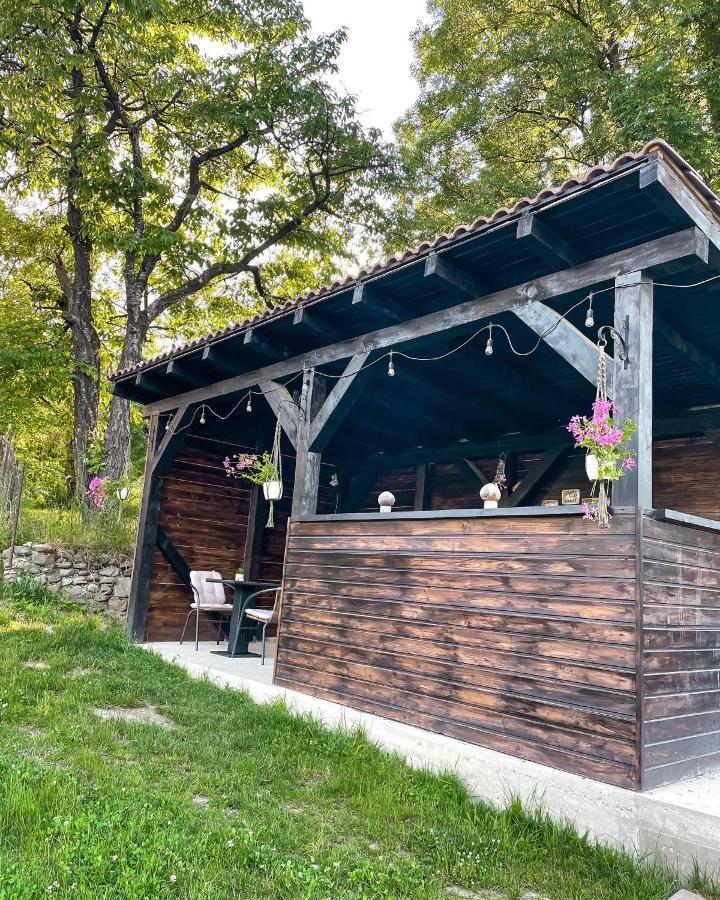 Transylvania Mountain View Cdi Бран Екстериор снимка