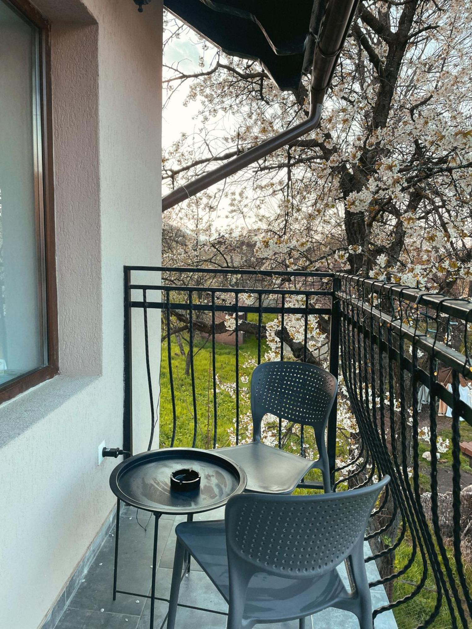 Transylvania Mountain View Cdi Бран Стая снимка