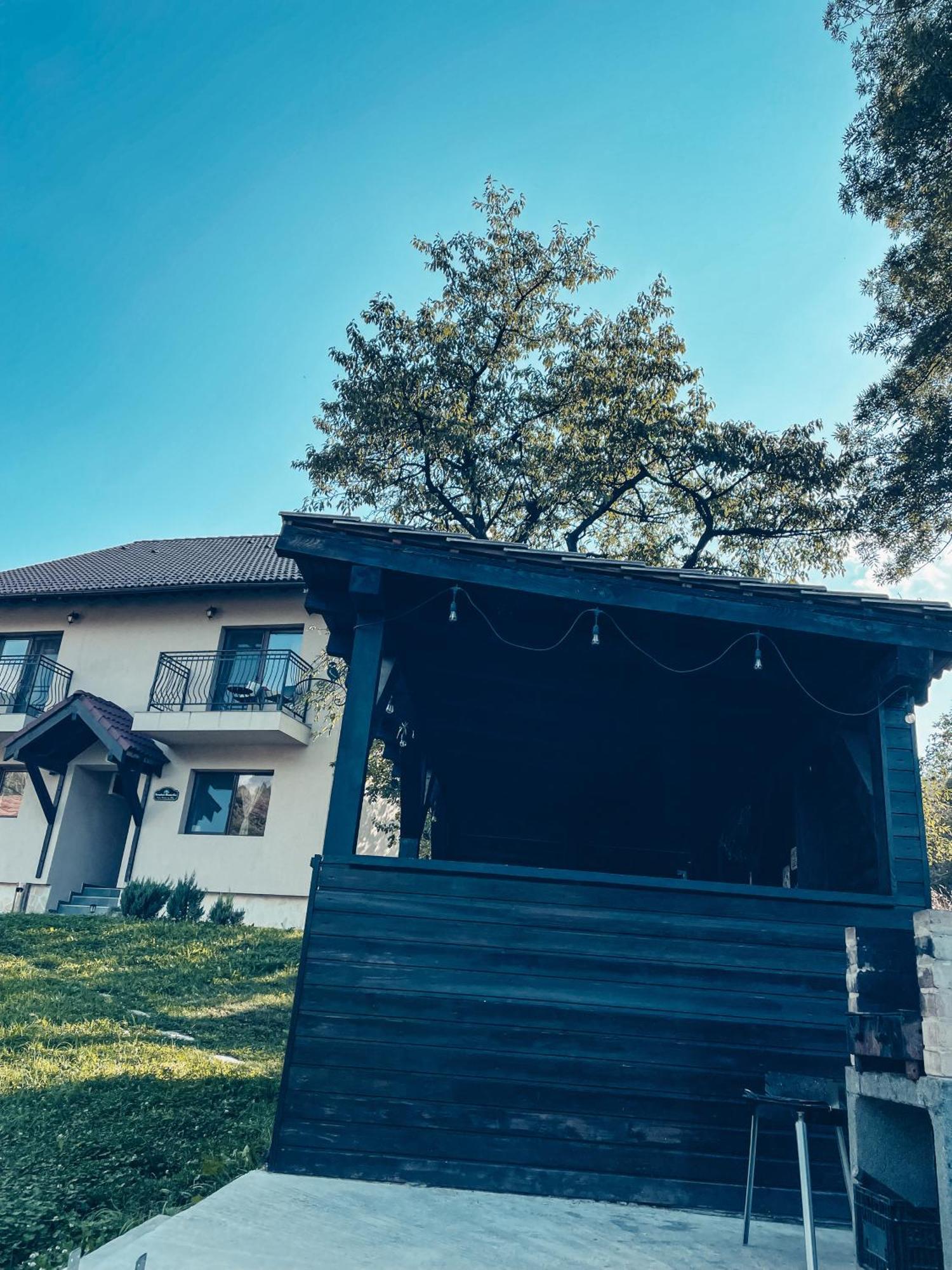 Transylvania Mountain View Cdi Бран Екстериор снимка